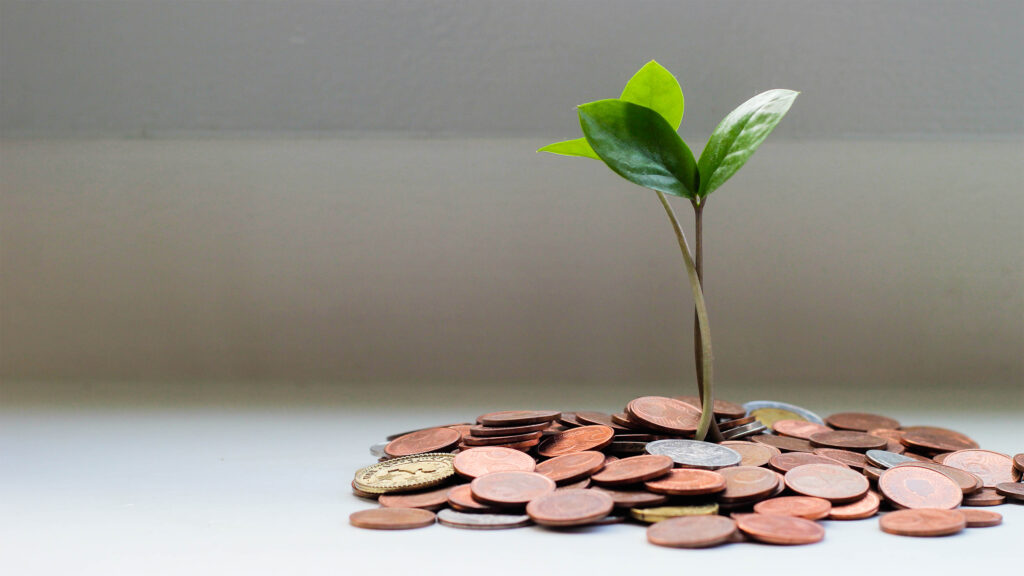 Monthly Accounting and Finance Services for Business Health
