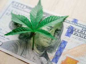 Navigating Cannabis Taxation: Beyond 280E & Future Predictions