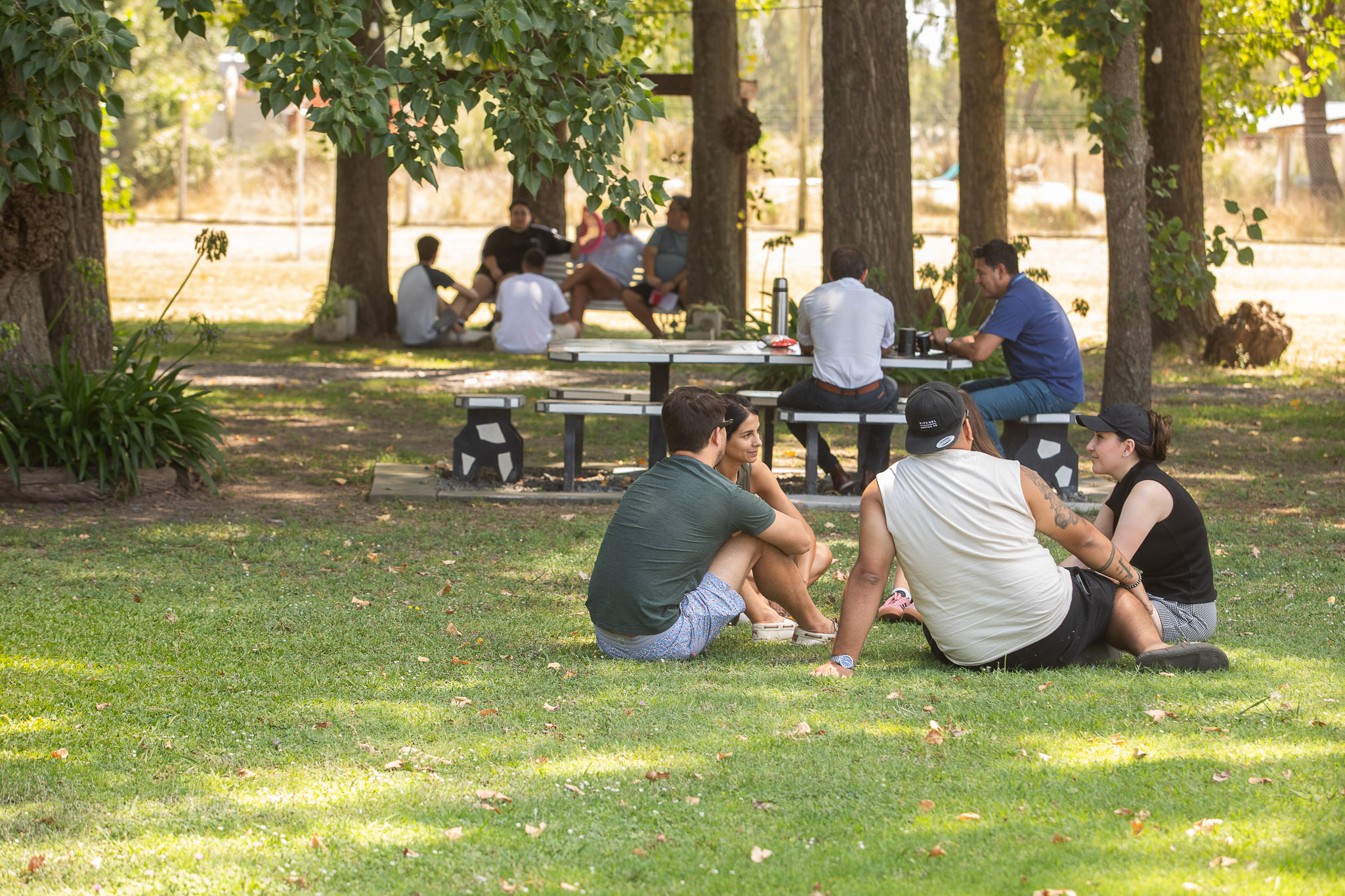 Minnesota cannabis taxes