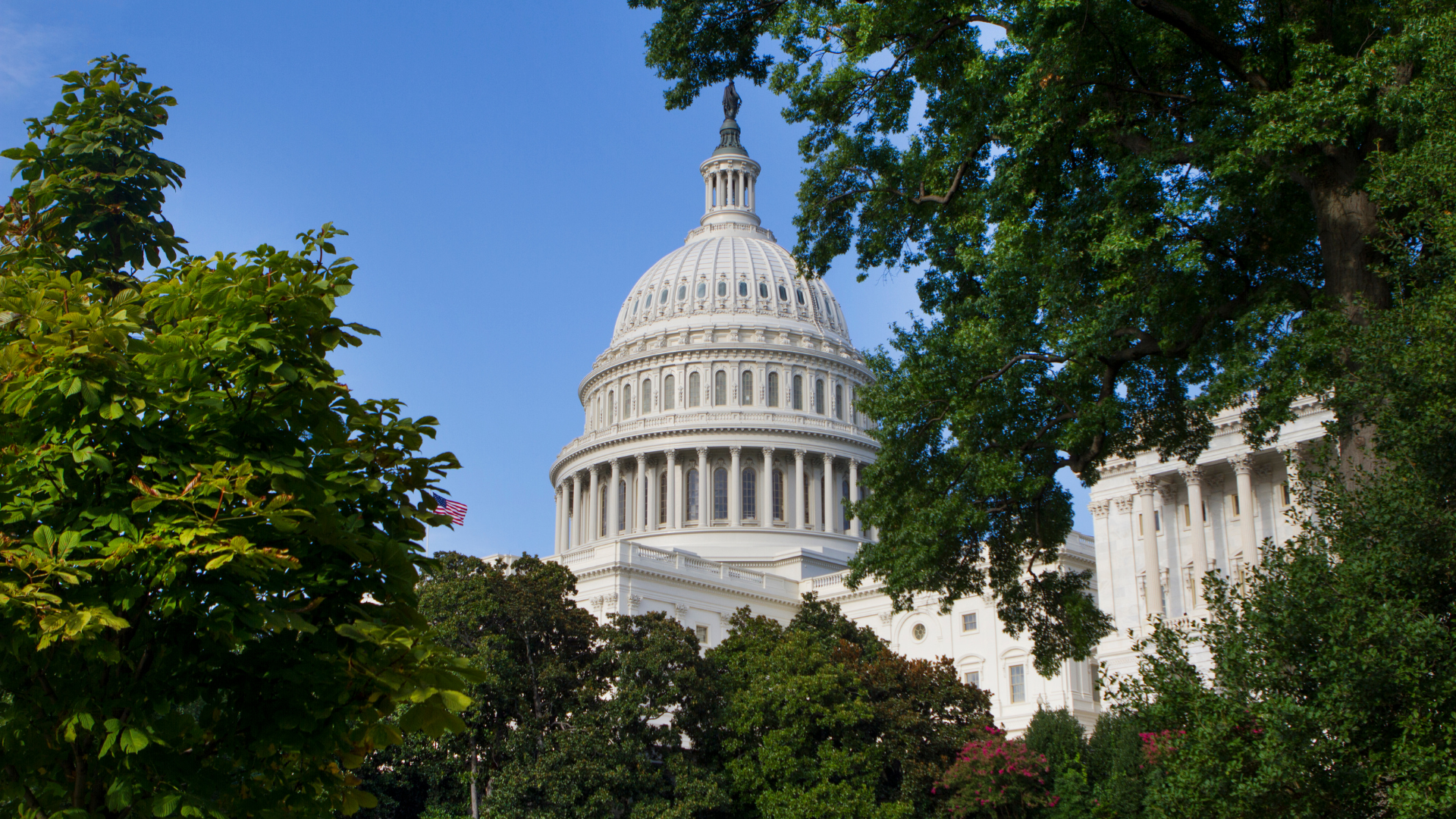 Capitol-Building