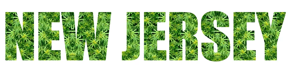 Hemp leaves form the letters "NEW JERSEY," representing the growing New Jersey cannabis tax landscape dispensary owners navigate today.